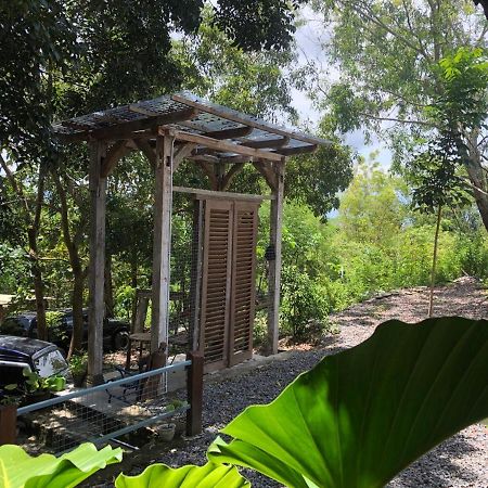 Omah Cantrik, Ethnic Java House With Nature View Jarakan Exterior foto